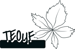 parcours noir : Teouf