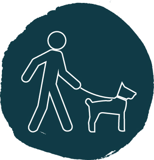 Animaux de compagnie