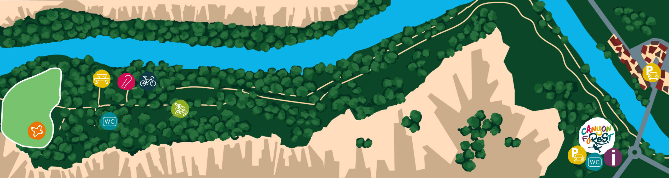 Plan canyon Forest